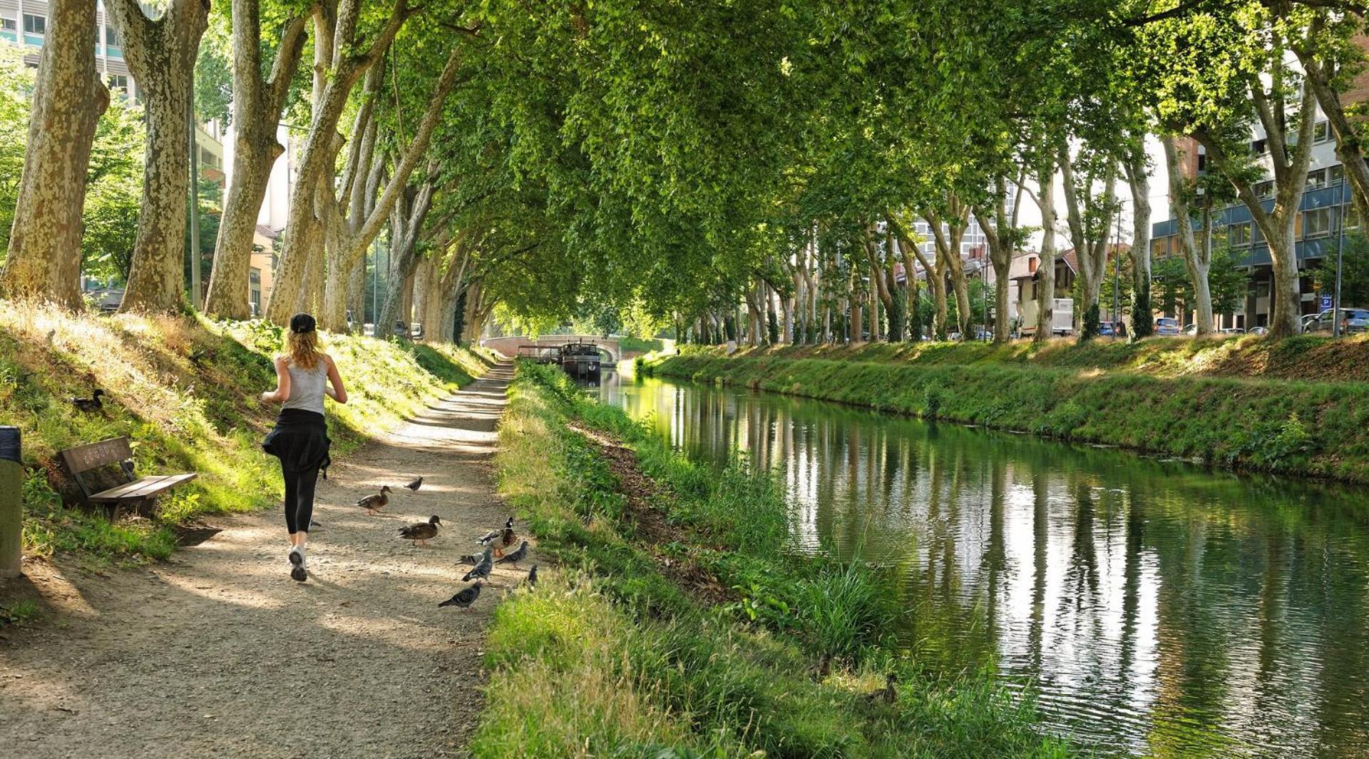 Saint-Aubin - Centre-Ville - Calme - Confortable Toulouse Exterior photo
